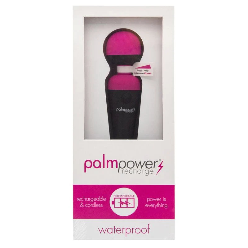 BMS Factory PalmPower Recharge Waterproof Body Wand Massager Medium