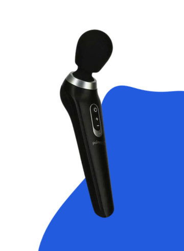 BMS Factory PALMPOWER EXTREME Vibrating Body Wand Massager