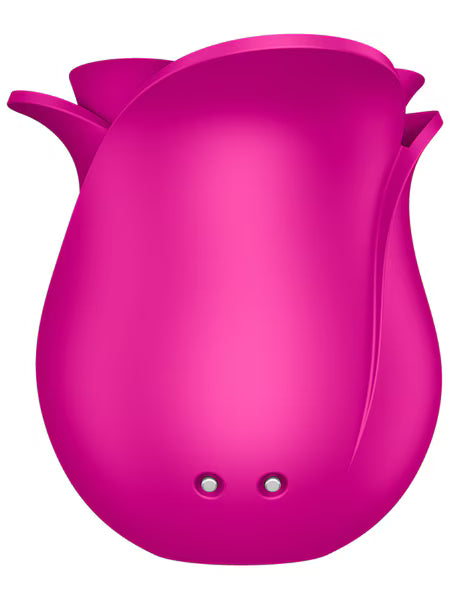 Satisfyer Pro 2 Modern Blossom - Air Pulse Clitoral Stimulator | Premium Pleasure Air Technology