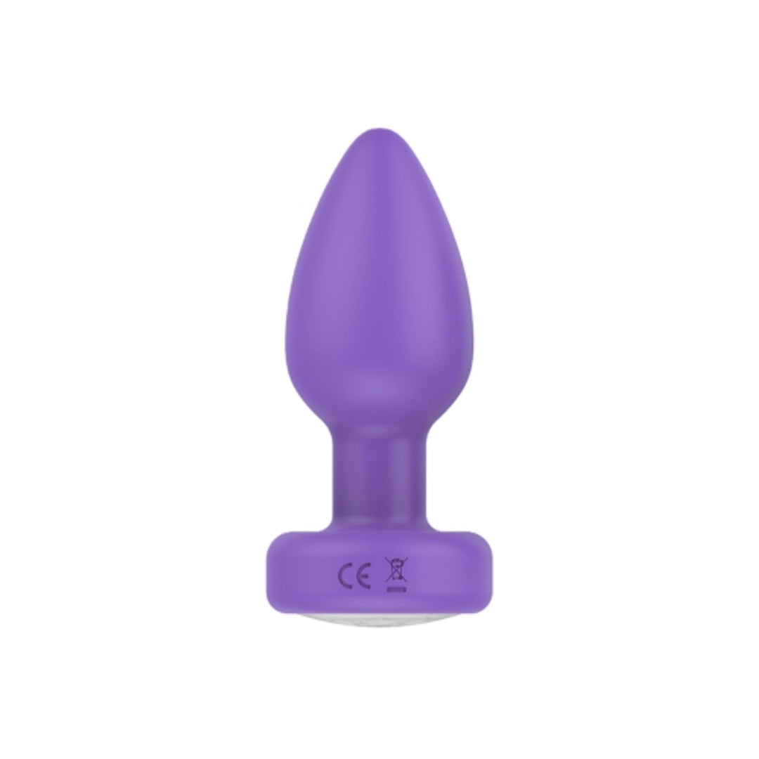 VIBRATING PLUG W/ REMOTE