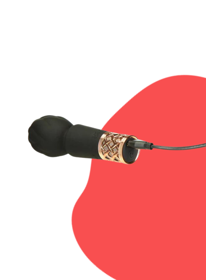 Pillow Talk Secrets PLEASURE mini body wand massager