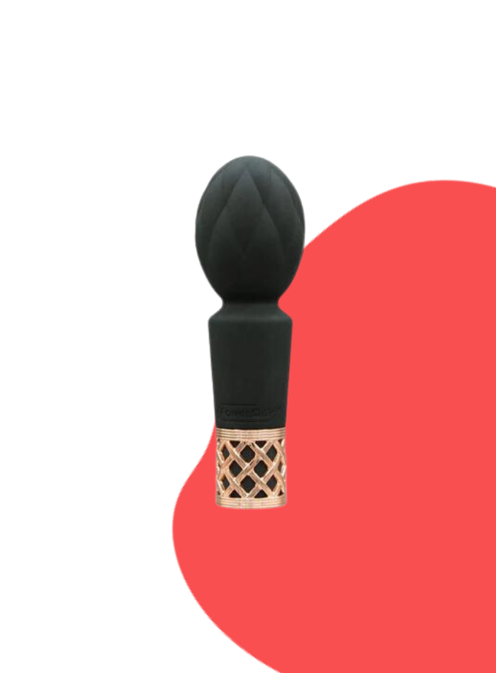 Pillow Talk Secrets PLEASURE mini body wand massager